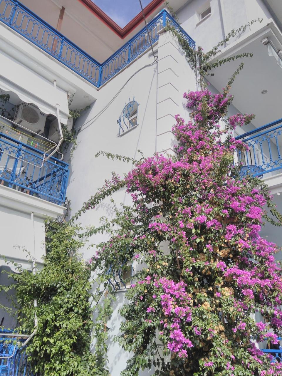 Ionio Gastronomy Suites Ammoudia Exterior photo